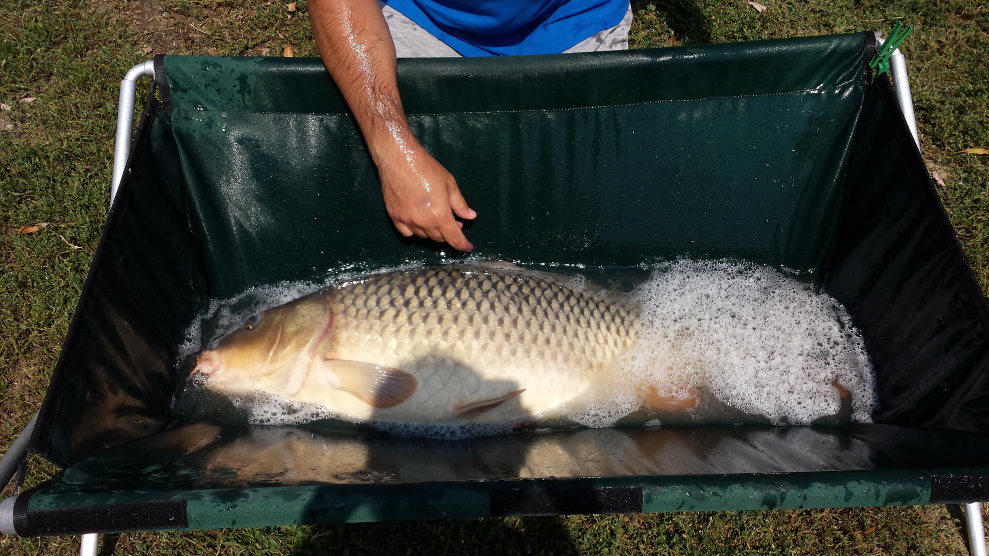 Hermes Peris 12 - 13 august 2015 - 20150813131255.jpg